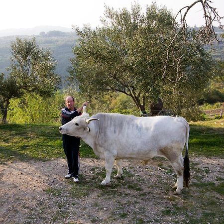 Tourist Farm Robivera Smarje  Bagian luar foto