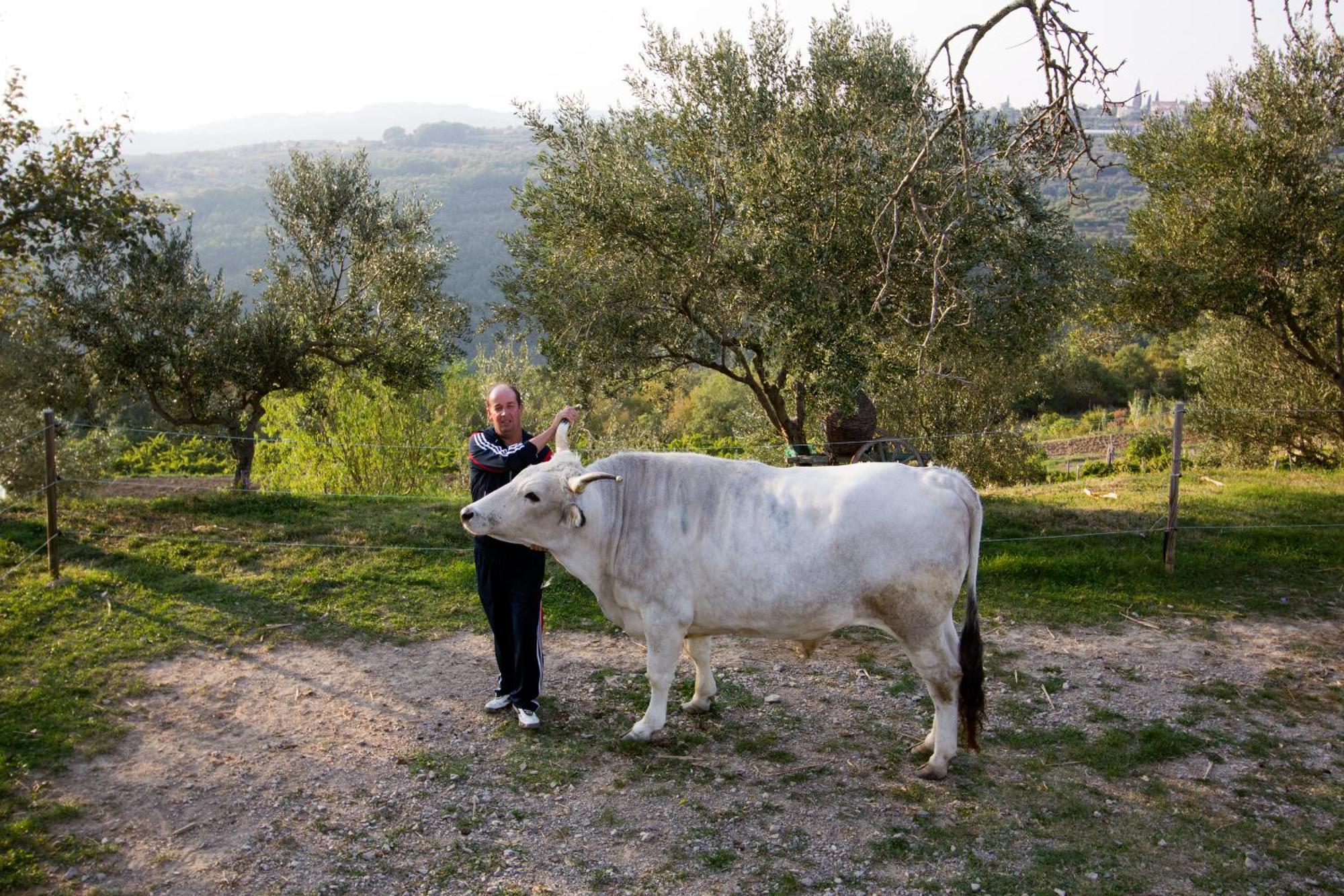 Tourist Farm Robivera Smarje  Bagian luar foto